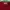 OLIVE des OLIVE Casual Wanita red black photo 1