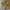 Vintage Streetwear Sweater Pria tan khaki photo 2