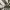 Juicy Couture Y2K Bags & purse Wanita white black photo 6