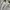 Beatrice Clothing Coquette Casual Blouse Wanita white photo 1