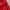 Umbro Streetwear Sportswear Windbreaker Pria white red photo 4