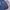 Covernat Muslim Hoody Pria navy photo 3