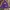 Adidas Sportswear Sweatshirt Pria purple photo 1
