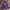 Adidas Sportswear Sweatshirt Pria Purple