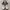 Adidas Indie Casual Sneakers Pria white yellow photo 3