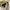 Von Dutch Casual Casual shirt Pria white photo 3
