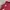 Sportswear Jersey Pria burgundy red photo 2