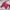 Sportswear Jersey Pria burgundy red photo 4