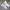 Streetwear Sportswear T-shirt Pria white black photo 3