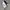 Sportswear Sweatpants & Joggers Pria white black photo 1