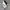 Sportswear Sweatpants & Joggers Pria White Black