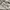 ZARA Vintage Midi dress Wanita white blue photo 7