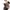 H&M Y2K Luxury Crop top Wanita gold black photo 2