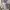 Undefeated Streetwear Indie Hoody Pria gray photo 5