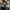 Adidas Vintage Casual Sweater Pria black photo 4