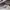 Nike Gorpcore Sportswear Puffer jacket Pria white photo 5