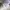 Nike Gorpcore Sportswear Puffer jacket Pria white photo 6