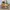 Nike Streetwear Lolita Sneakers Wanita multicolor photo 6