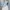 ZARA Streetwear Crop top Wanita blue photo 1