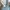 GENTLEWOMAN Vintage Streetwear Wanita blue photo 4