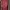 Guess Y2K Blouse Wanita burgundy photo 2