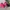 Converse Streetwear Indie Sneakers Pria white pink photo 4