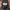 New Era Sportswear Casual Hat Pria black orange photo 5