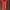 bebe Luxury Bodycon dress Wanita orange photo 1
