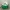 H&M Streetwear Y2K Hat Pria White Green