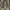 Streetwear Skater Casual pants Pria multicolor photo 2