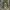 Streetwear Skater Casual Pants Pria Multicolor