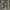 Streetwear Skater Casual pants Pria multicolor photo 1