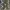 Streetwear Skater Casual Pants Pria Multicolor