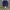 Streetwear Minimalist Short Pria navy photo 1