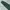 Streetwear Casual Swimwear Pria green photo 5