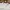 Adidas Vintage Sportswear Jersey Pria white photo 4
