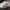 Nike Casual Sneakers Pria white photo 3