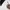 Adidas Sportswear Hoody Pria white black photo 7
