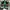 Nike Casual Sneakers Pria green photo 2