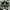 Nike Casual Sneakers Pria Green