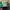 Nike Casual Sneakers Pria green photo 4