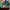 Nike Casual Sneakers Pria green photo 5