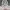 Supreme Casual Hoody Pria Gray