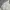 Mizuno Streetwear Sportswear Windbreaker Pria white black photo 6