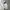 Mizuno Streetwear Sportswear Windbreaker Pria white black photo 5
