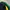 Kappa Streetwear Sportswear Track jacket Pria green black photo 4