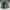 Nike Vintage Y2K Puffer jacket Pria green photo 2