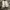 Converse Vintage Casual Sneakers Pria white photo 2