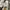 Converse Vintage Casual Sneakers Pria white photo 3