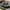 ZARA Casual Maxi skirt Wanita green photo 2